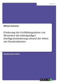 Förderung der Gefühlsregulation von Menschen mit mittelgradiger Intelligenzminderung anhand der Arbeit mit Emotionskarten