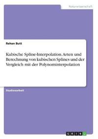 Kubische Spline-Interpolation. Arten und Berechnung von kubischen Splines und der Vergleich mit der Polynominterpolation