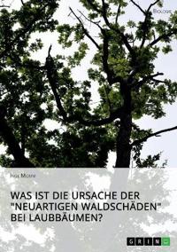 Was ist die Ursache der "Neuartigen Waldschäden" bei Laubbäumen?