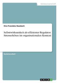 Selbstwirksamkeit als effizienter Regulator. Stresserleben im organisationalen Kontext