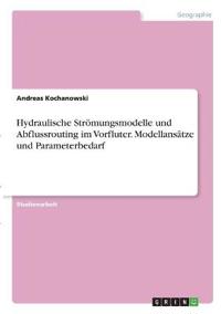 Hydraulische Strömungsmodelle und Abflussrouting im Vorfluter. Modellansätze und Parameterbedarf