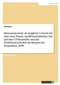 Blasenpotenziale als mögliche Ursache für eine neue Finanz- und Wirtschaftskrise. Die privaten US-Haushalte und das Fünf-Phasen-Modell am Beispiel der Finanzkrise 2008