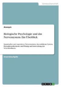 Biologische Psychologie und das Nervensystem. Ein Überblick