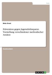 Prävention gegen Jugenddelinquenz. Vorstellung verschiedener methodischer Ansätze
