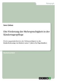 Die Förderung der Mehrsprachigkeit in der Kindertagespflege