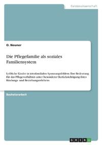 Die Pflegefamilie als soziales Familiensystem