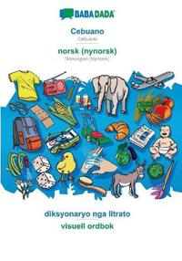 Cebuano - norsk (nynorsk), diksyonaryo nga litrato