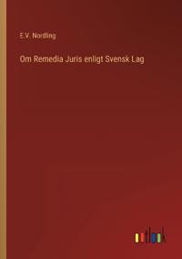 Om Remedia Juris enligt Svensk Lag