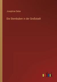 Die Sternbuben in der Großstadt