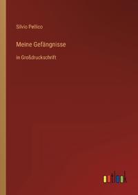 Meine Gefängnisse