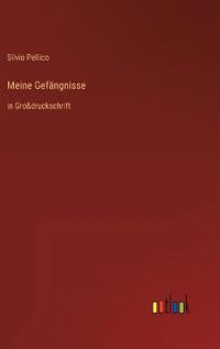 Meine Gefängnisse