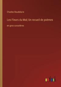 Les Fleurs du Mal; Un recueil de poèmes