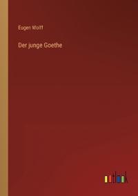 Der junge Goethe