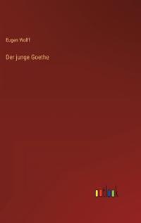 Der junge Goethe
