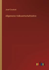 Allgemeine Volkswirtschaftslehre