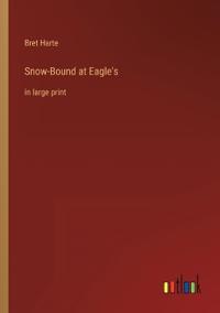 Snow-Bound at Eagle's