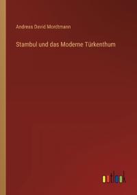 Stambul und das Moderne Türkenthum
