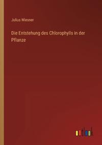 Die Entstehung des Chlorophylls in der Pflanze
