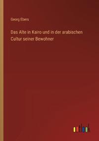 Das Alte in Kairo und in der arabischen Cultur seiner Bewohner