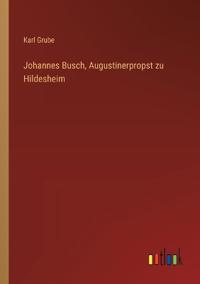 Johannes Busch, Augustinerpropst zu Hildesheim