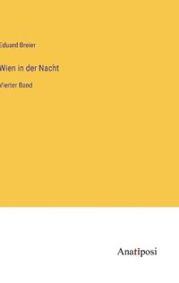 Wien in der Nacht