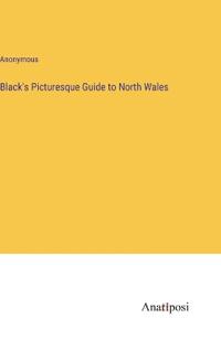 Black's Picturesque Guide to North Wales