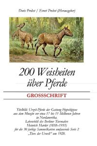 200 Weisheiten über Pferde
