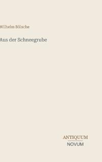 Aus der Schneegrube