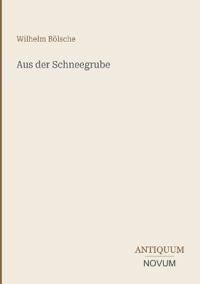 Aus der Schneegrube