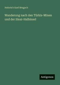 Wanderung nach den Türkis-Minen und der Sinai-Halbinsel