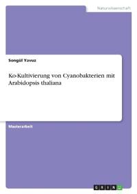 Ko-Kultivierung von Cyanobakterien mit Arabidopsis thaliana