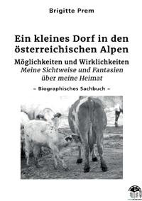 Ein kleines Dorf in den österreichischen Alpen