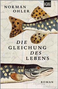 Die Gleichung des Lebens