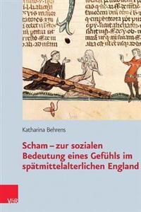 Scham: Zur Sozialen Bedeutung Eines Gefuhls Im Spatmittelalterlichen England