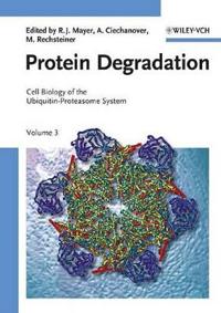 Cell Biology of the Ubiquitin-Proteasome System, Volume 3