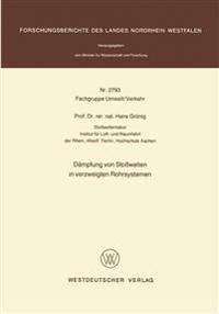 Dämpfung von Stoßwellen in verzweigten Rohrsystemen