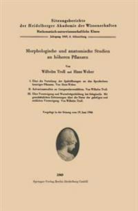 Morphologische und anatomische Studien an höheren Pflanzen