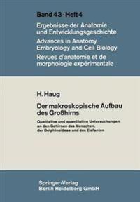Der makroskopische Aufbau des Großhirns