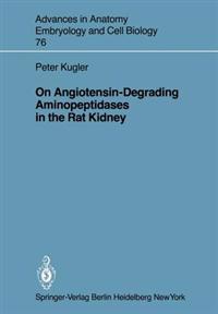 On Angiotensin-Degrading Aminopeptidases in the Rat Kidney