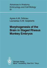 Morphogenesis of the Brain in Staged Rhesus Monkey Embryos
