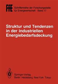 Struktur und Tendenzen in der industriellen Energiebedarfsdeckung