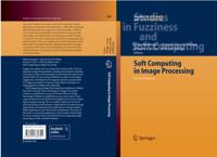 Studies in Fuzziness and Soft Computing