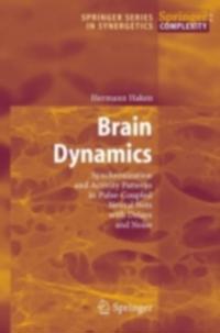 Springer Series in Synergetics