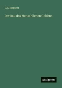 Der Bau des Menschlichen Gehirns