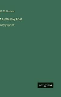 A Little Boy Lost