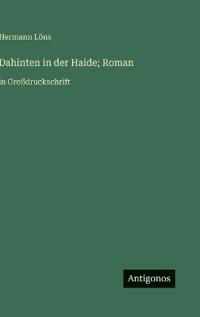 Dahinten in der Haide; Roman