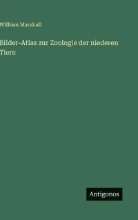 Bilder-Atlas zur Zoologie der niederen Tiere