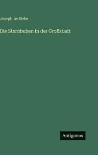 Die Sternbuben in der Großstadt