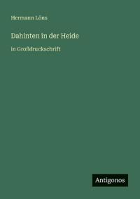 Dahinten in der Heide