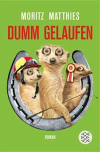 Dumm gelaufen